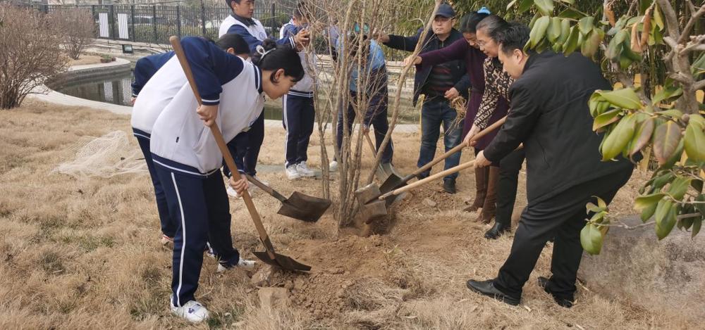 531e4df4a5a5a3f6beecf15a563a79b