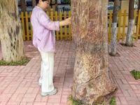 【经济家校日志】走进校园零距离，共育成长暖时光——2025级11班家长驻校办公日志