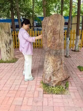 【经济家校日志】走进校园零距离，共育成长暖时光——2025级11班家长驻校办公日志
